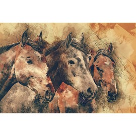 Fototapetas Trijų arklių paveikslas